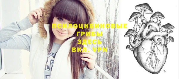 гашик Армянск