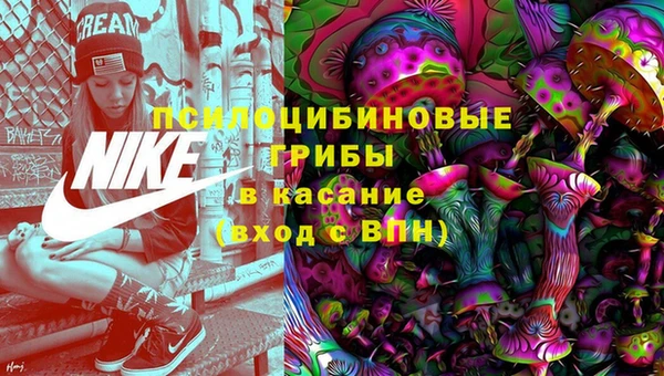 гашик Армянск